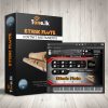 Ethnic Flute